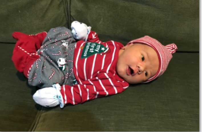 Hawk new baby